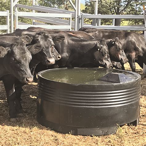 trough .